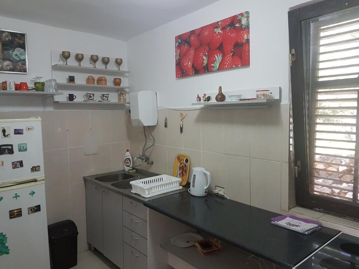 Przic House Apartment Negotin