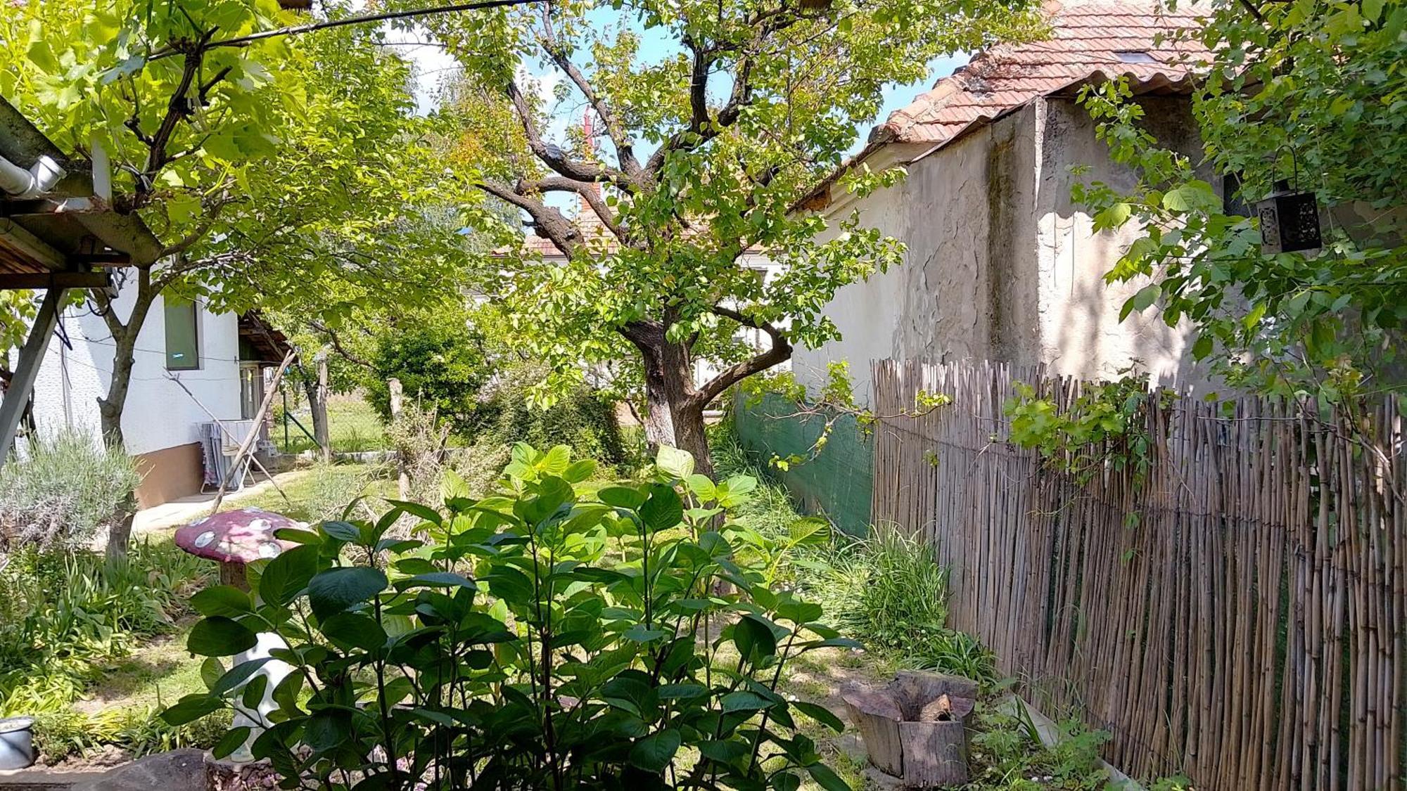Przic House Apartment