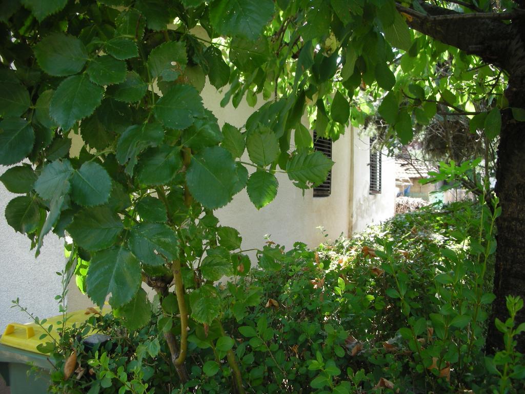 Apartment Przic House Negotin