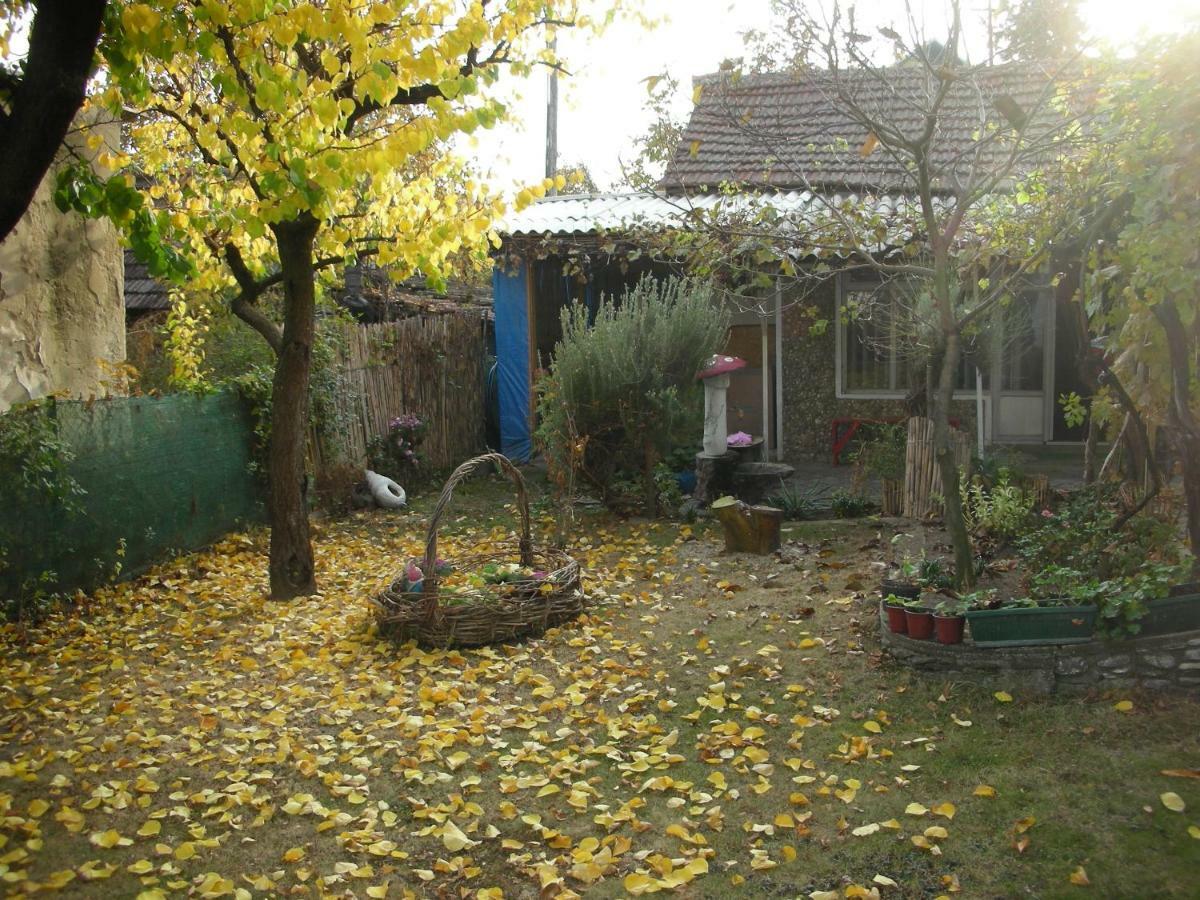 Przic House Apartment *